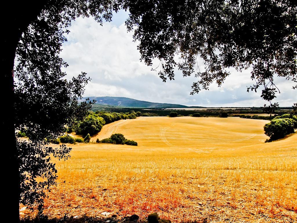 Uterga Hostal Camino Del Perdon מראה חיצוני תמונה